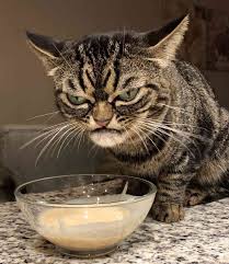 Angry Tenty